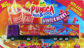 Punica Hot & Cool, Winterberry, mit Früchten und 2 Gläsern